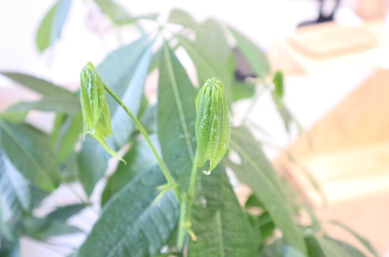 20210217100134_IMG_0343